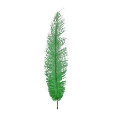 Piuma struzzo verde