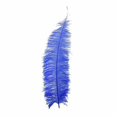 Piuma struzzo 70 blu