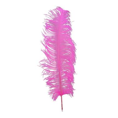 Piuma struzzo 70 fuxia