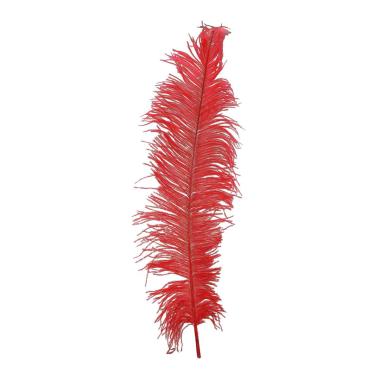 Piuma struzzo 70 rossa