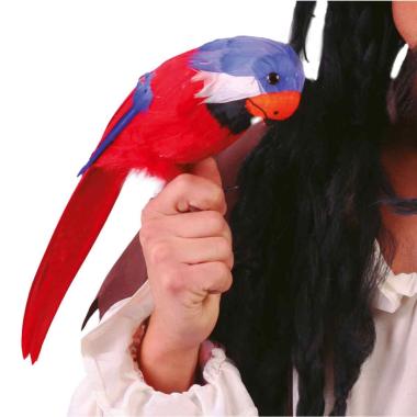Pappagallo piume