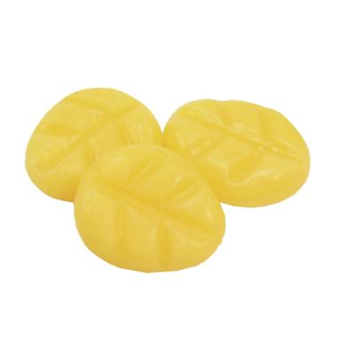 Candela chips mini musk fresh wood 4 x 3,5 cm