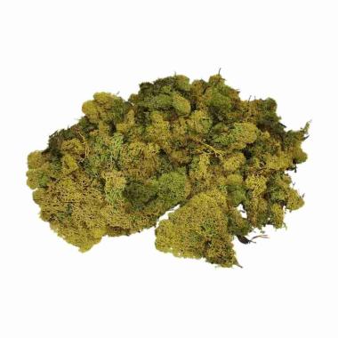 Lichene presepe sintetico verde 30 gr