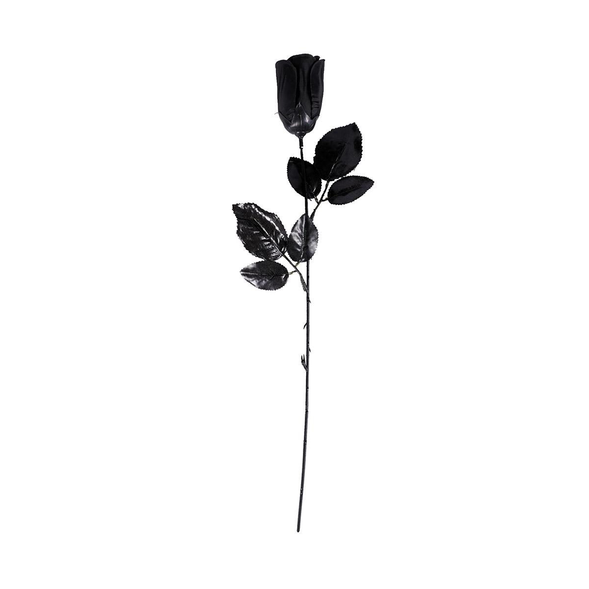 Fiore rosa nera