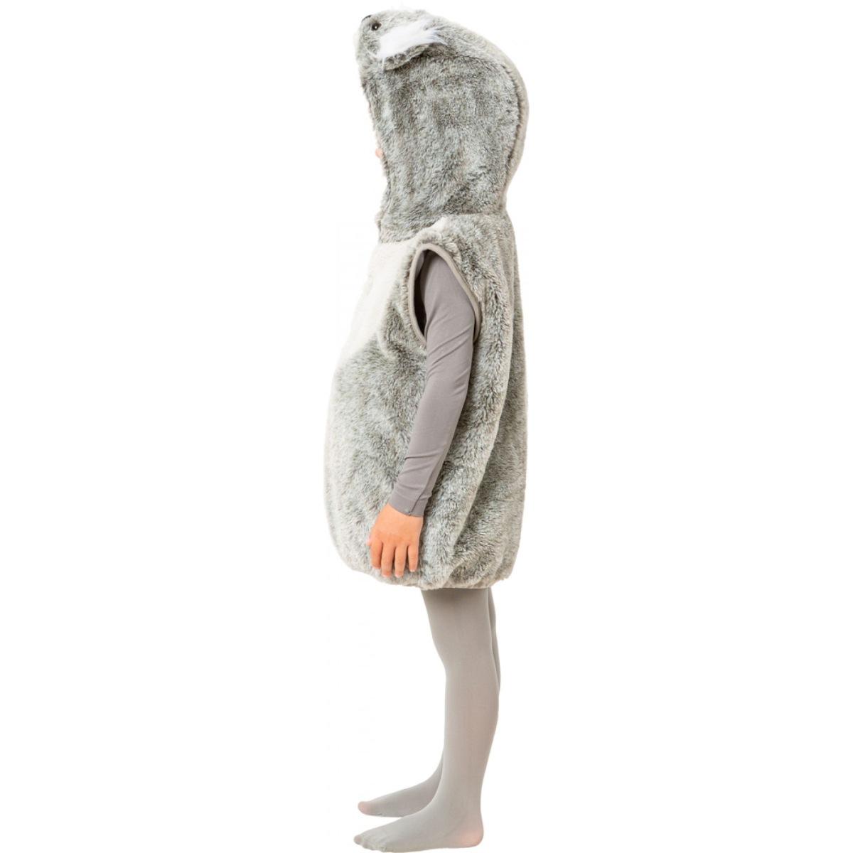 Costume koala