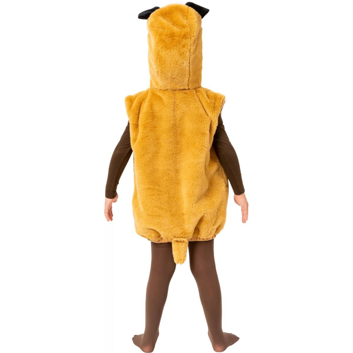 Costume cane