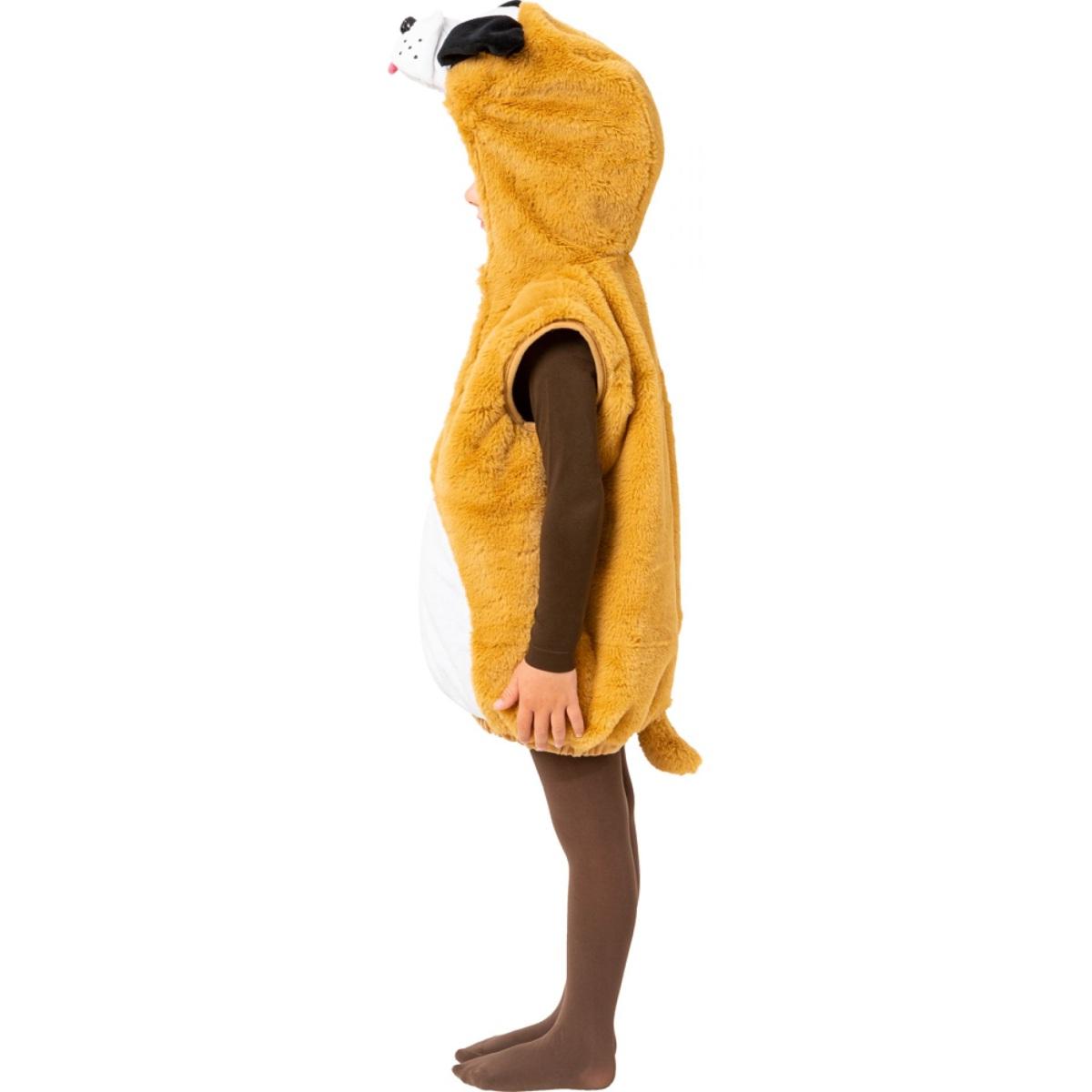 Costume cane