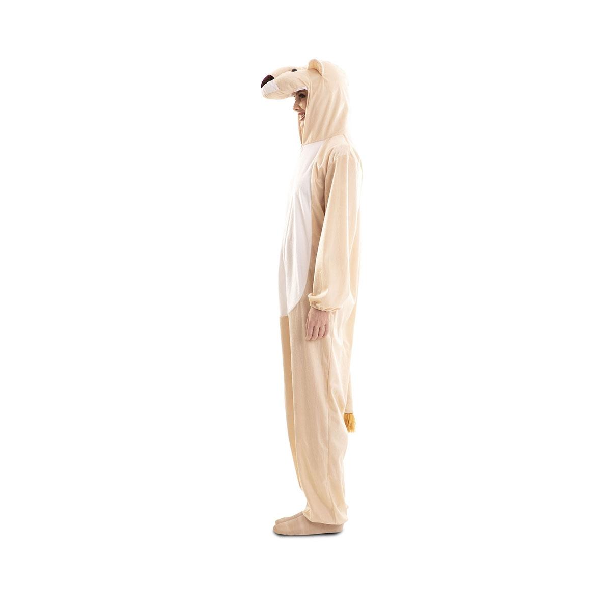 Costume leonessa