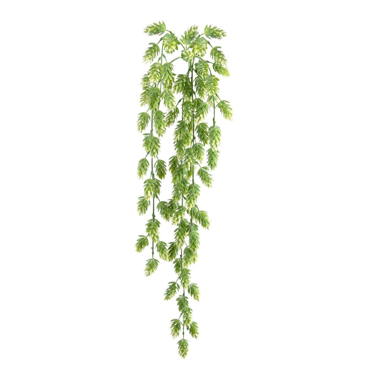 Fiore luppolo verde pendente 70 cm