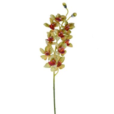 Fiore orchidea cymbidium verde 92 cm