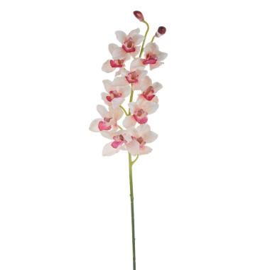 Fiore orchidea cymbidium rosa 92 cm