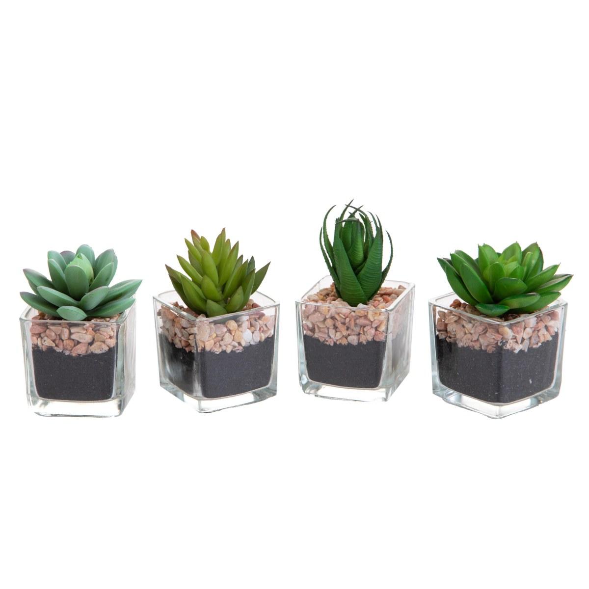 Fiore vasetto pianta grassa assortito 5 x 5 cm