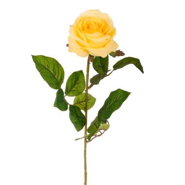 Fiore rosa gialla 67 cm