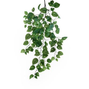 Fiore pothos verde rampicante 107 cm