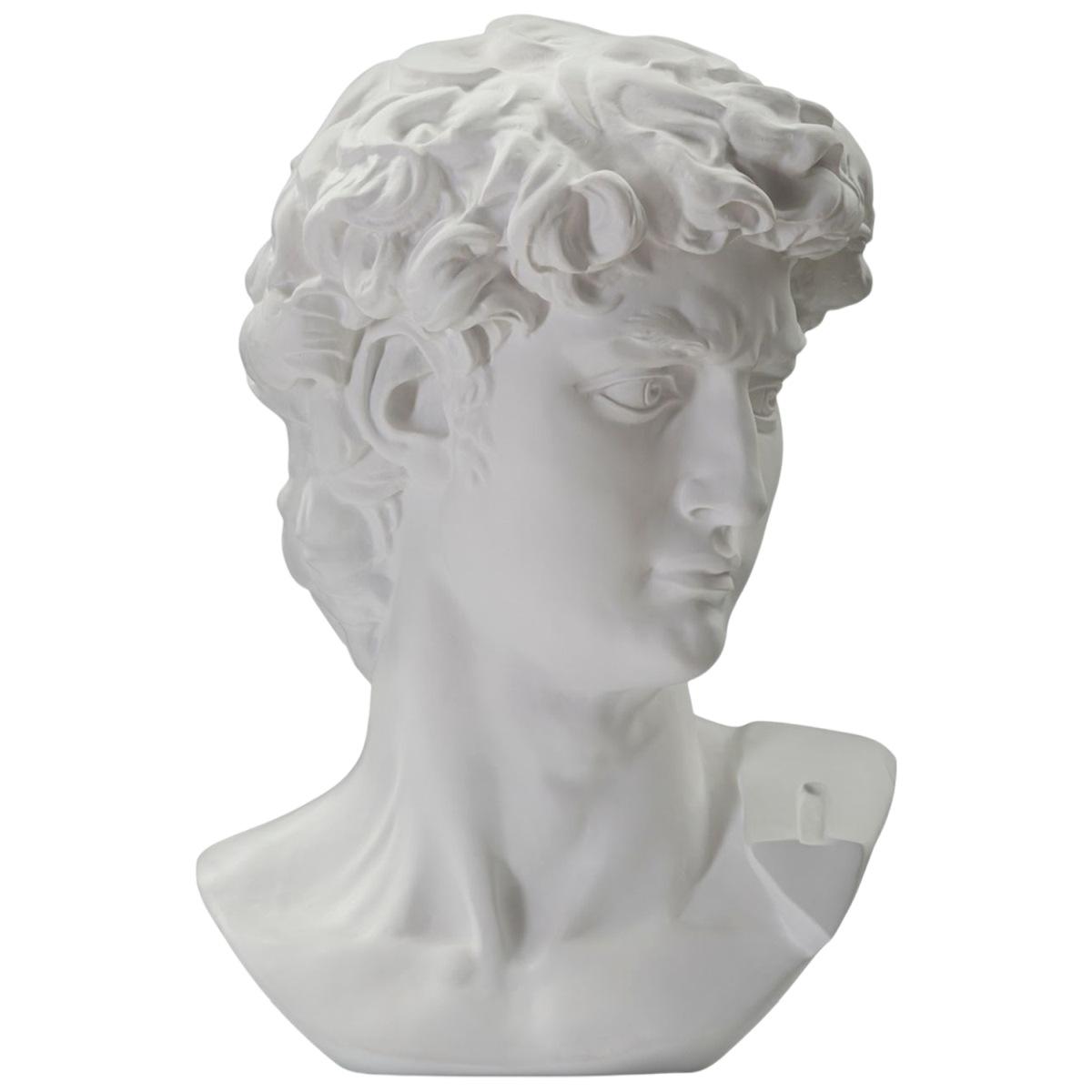 Scultura testa antica bianca 44 x 35,5 x 60 cm