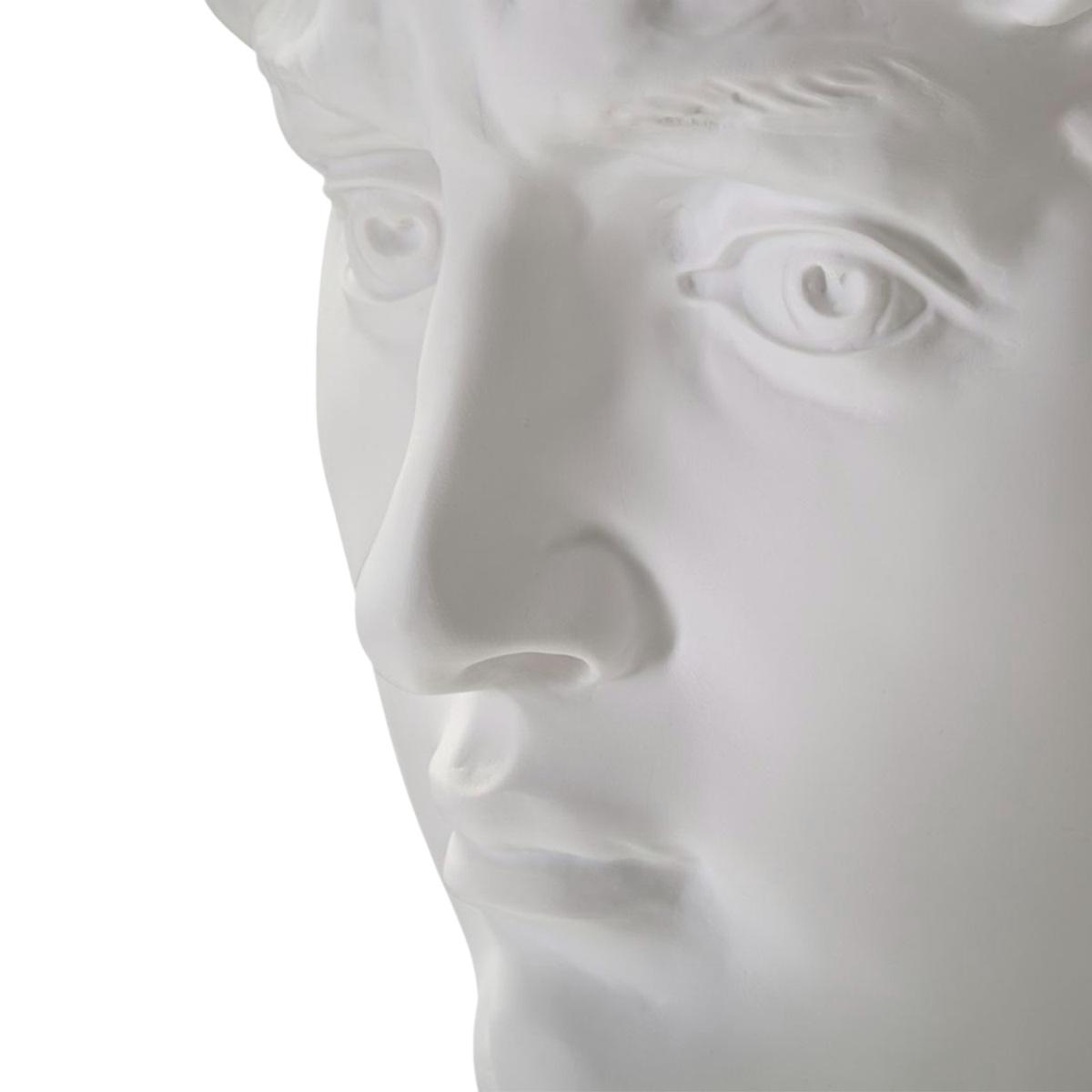 Scultura testa antica bianca 44 x 35,5 x 60 cm