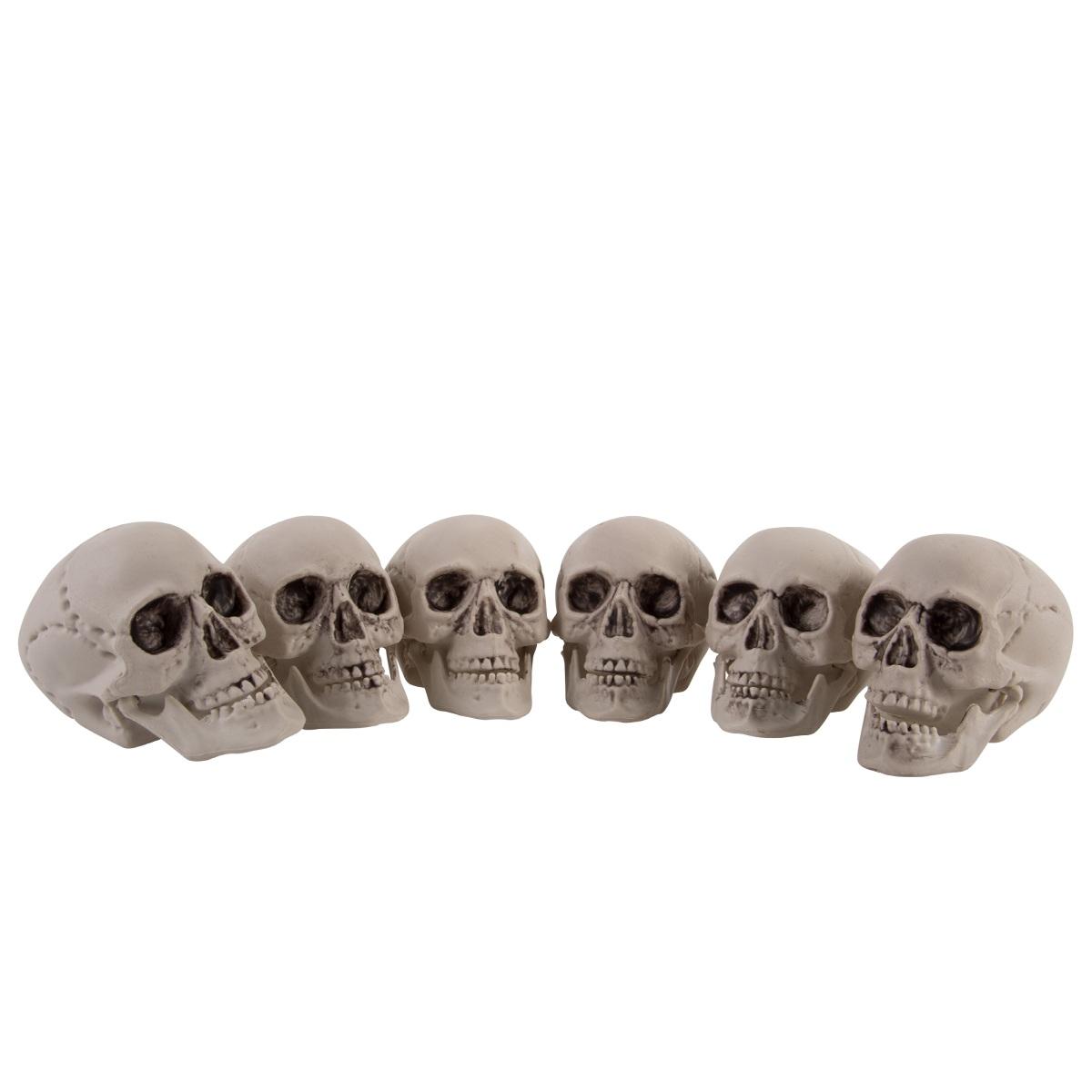 Scheletro decorativo
