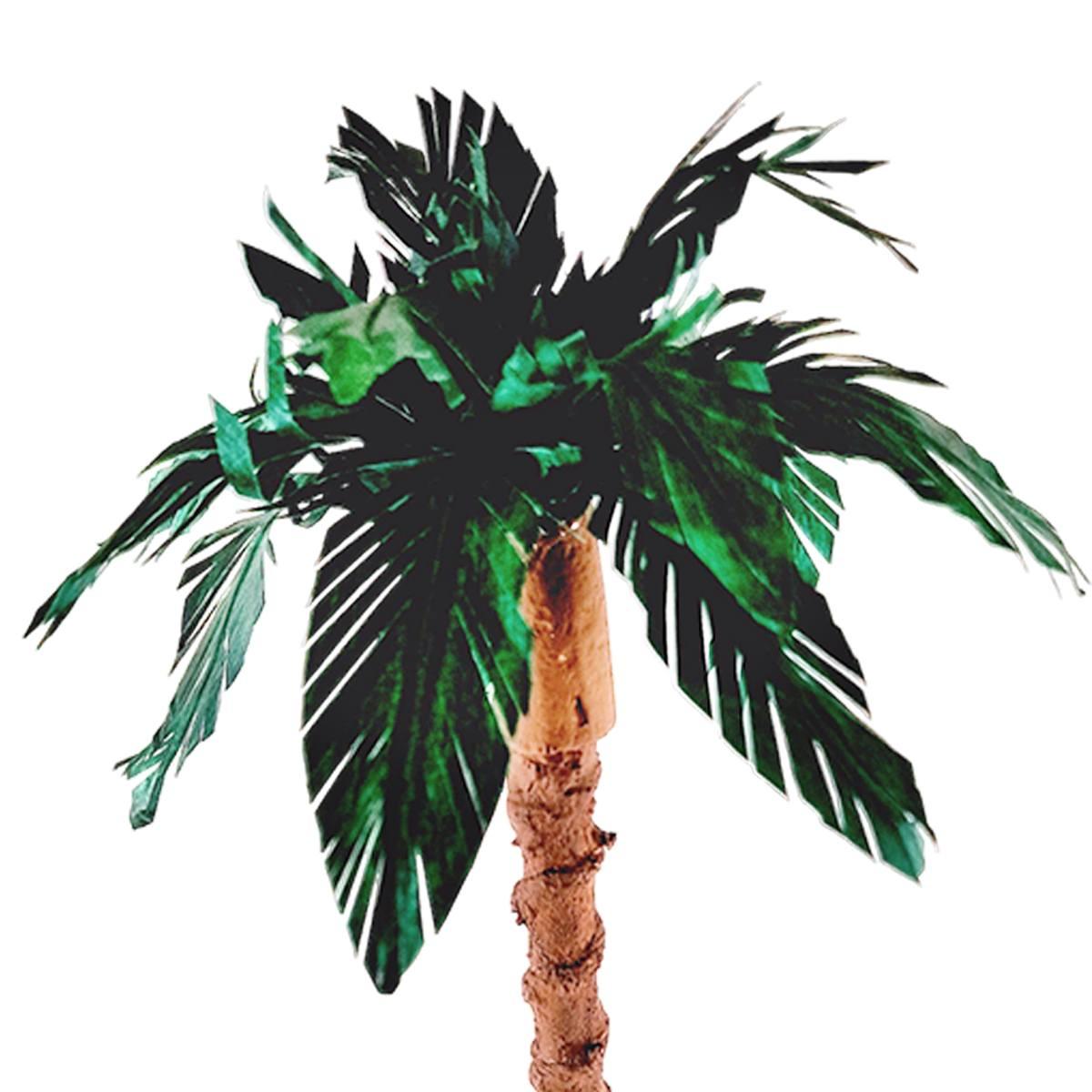 Albero presepe palma verde innesto fusto legno