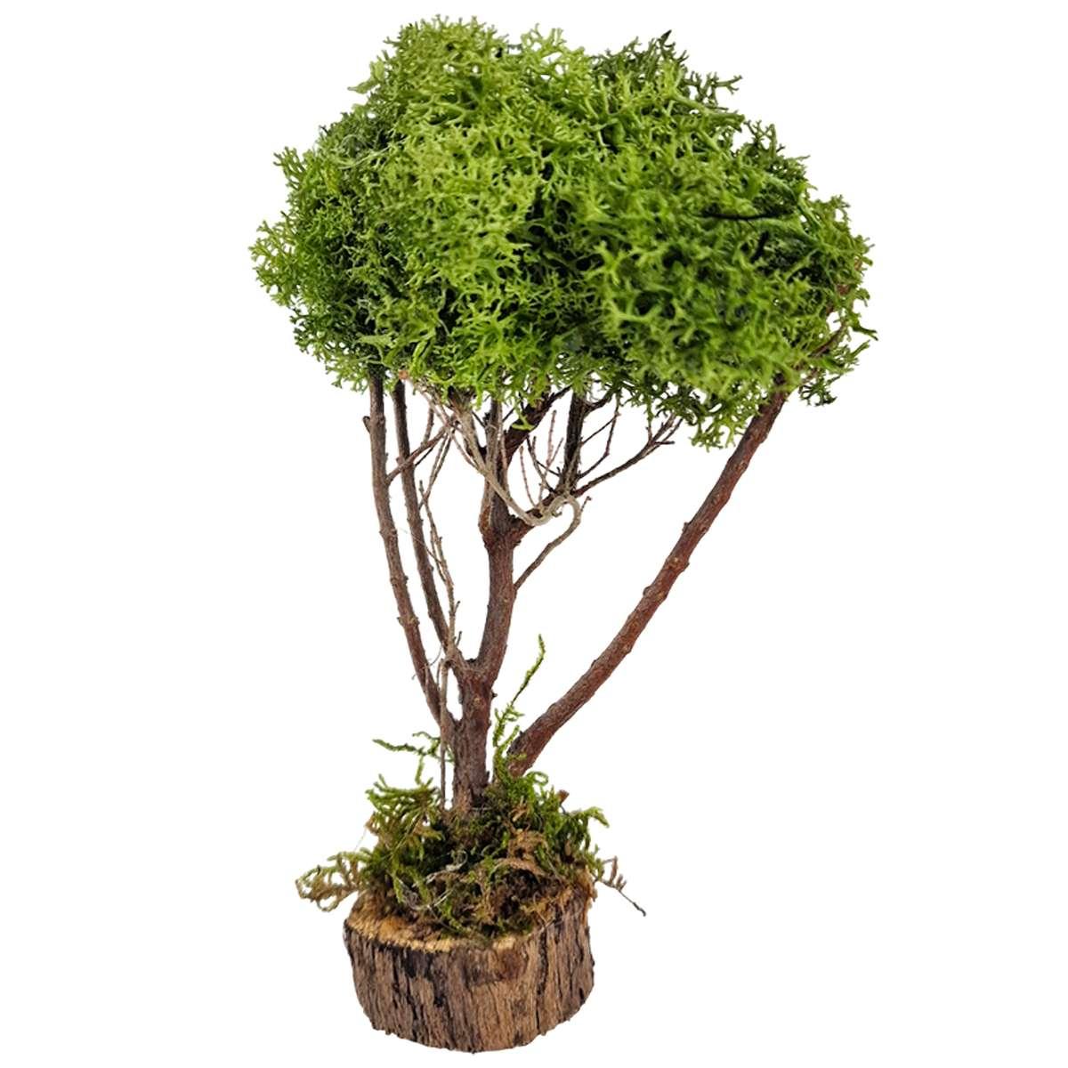 Albero presepe lichene verde base legno artigianale per il