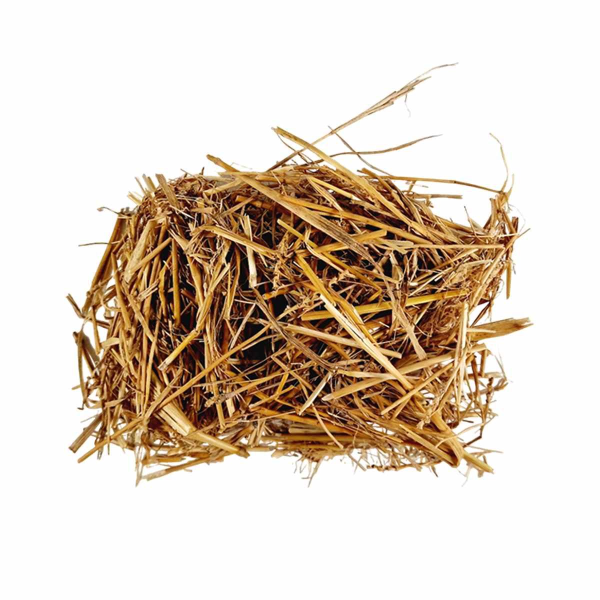 Paglia presepe 30 gr