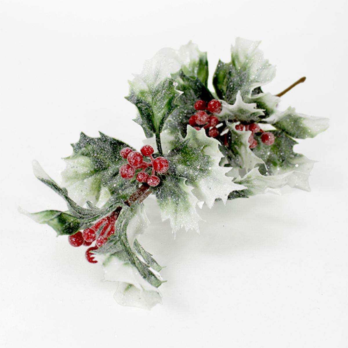 Fiore natale agrifogliocm