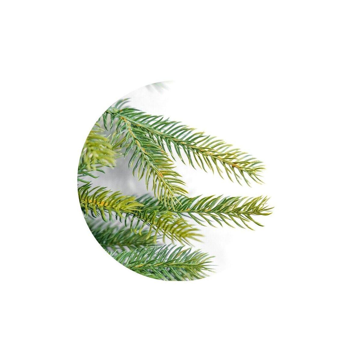 Albero di Natale 240 cm verde delle alpi