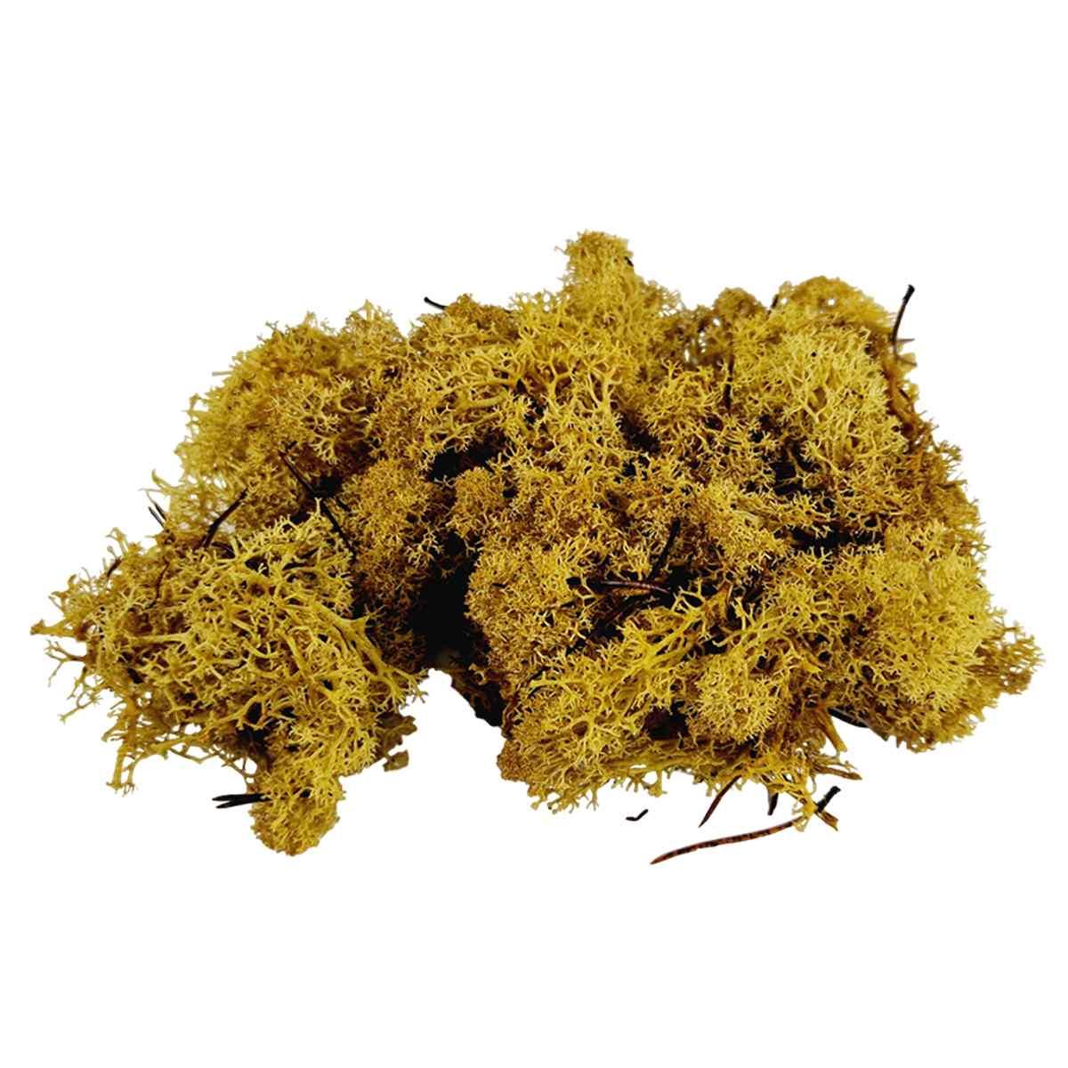 Lichene presepe sintetico verde chiaro 30 gr