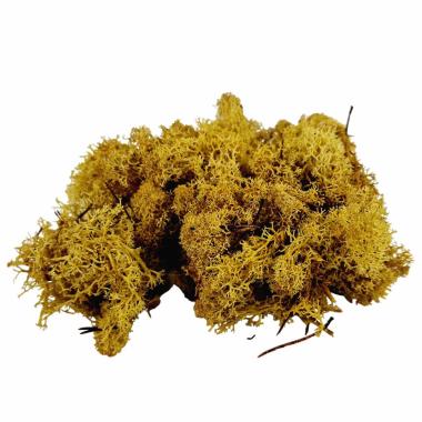 Lichene presepe sintetico verde chiaro 30 gr