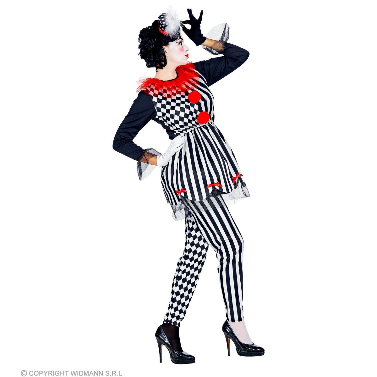 Costume clown arlecchina