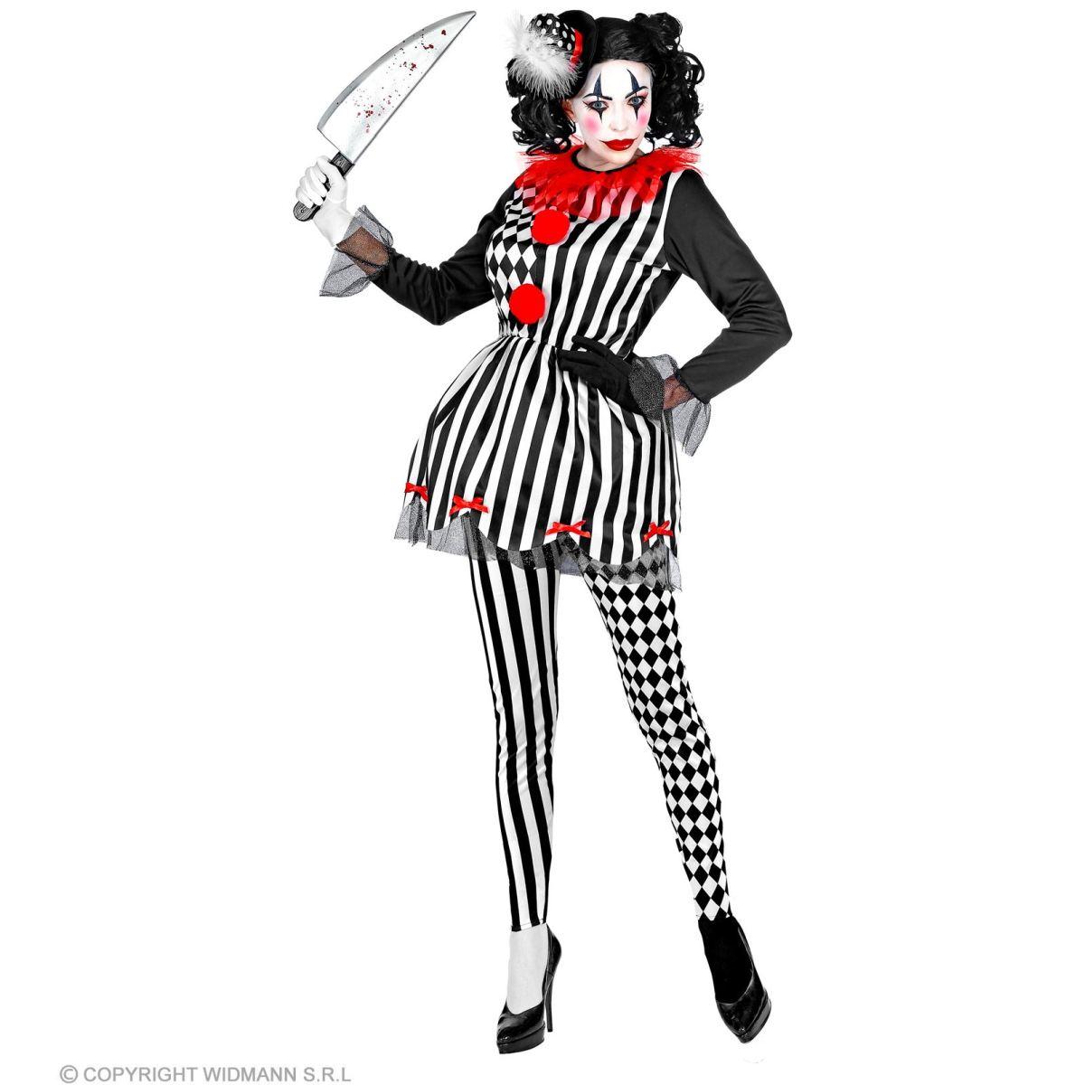 Costume clown arlecchina
