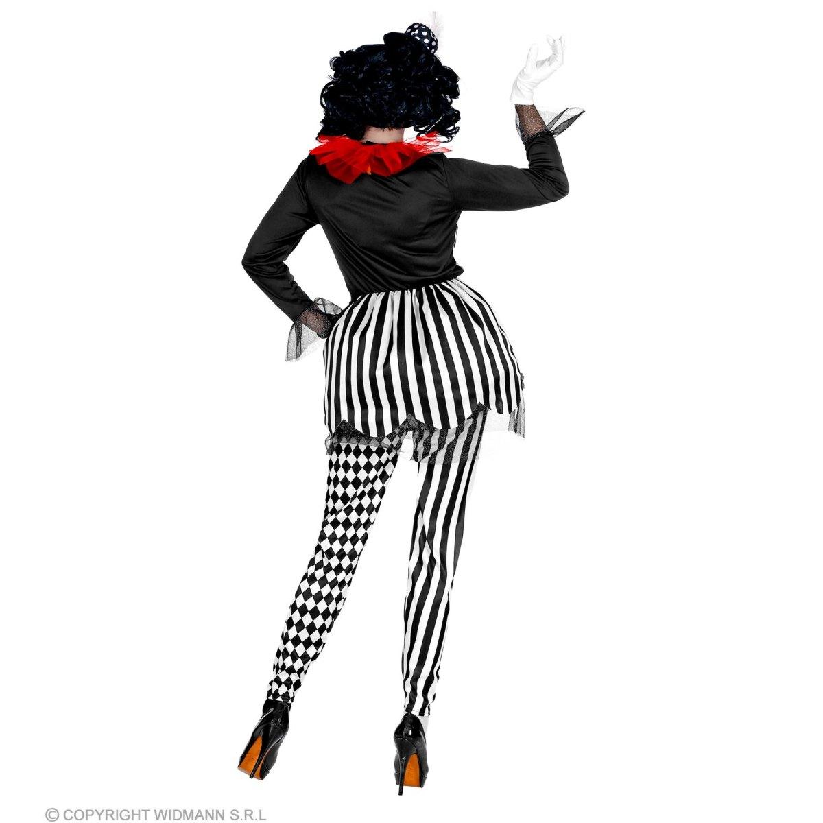 Costume clown arlecchina