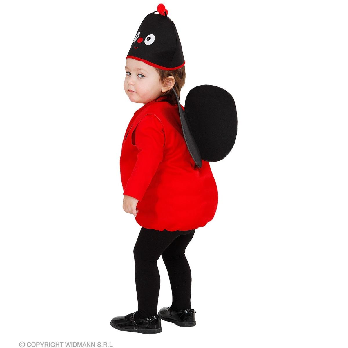 Costume coccinella