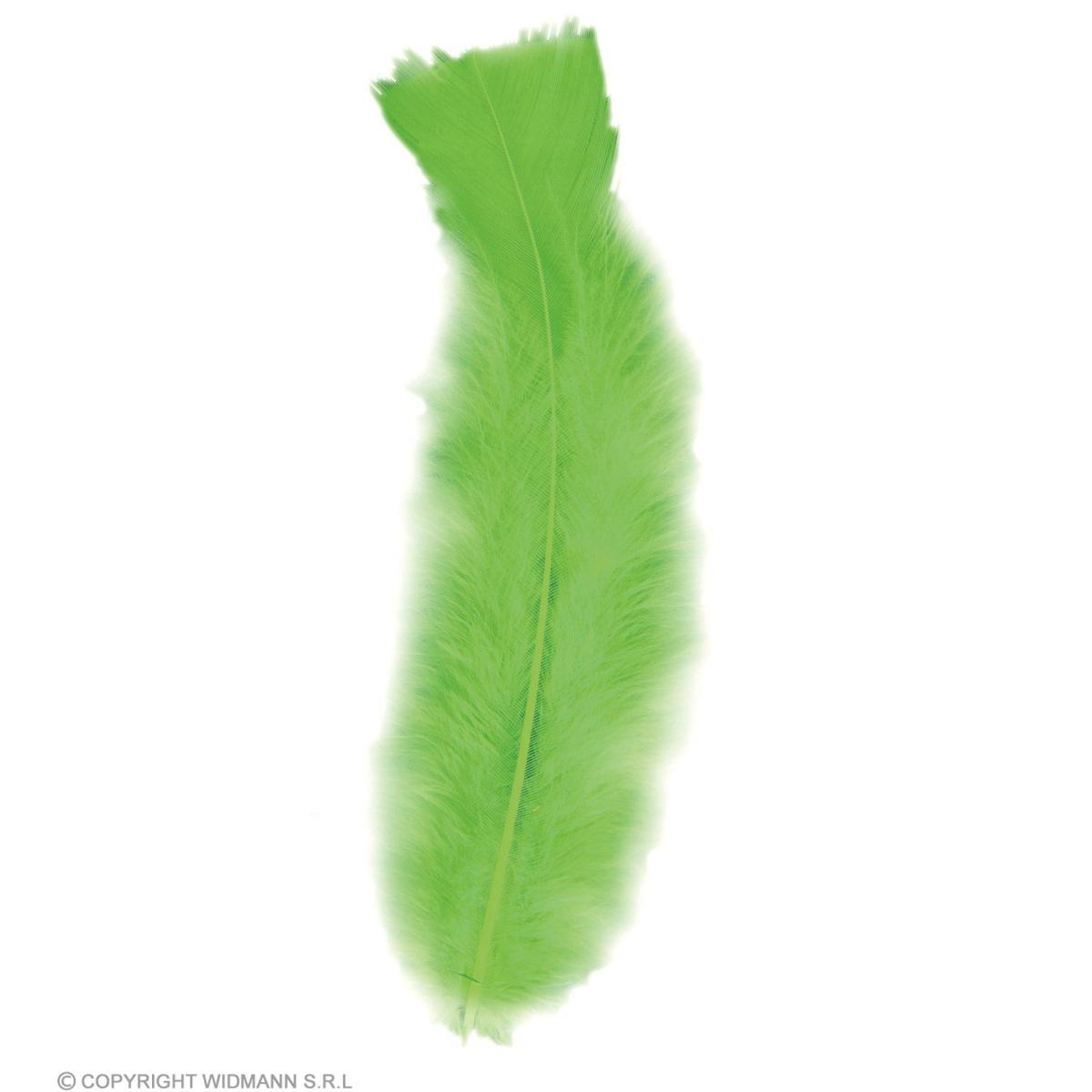 Piuma struzzo verde