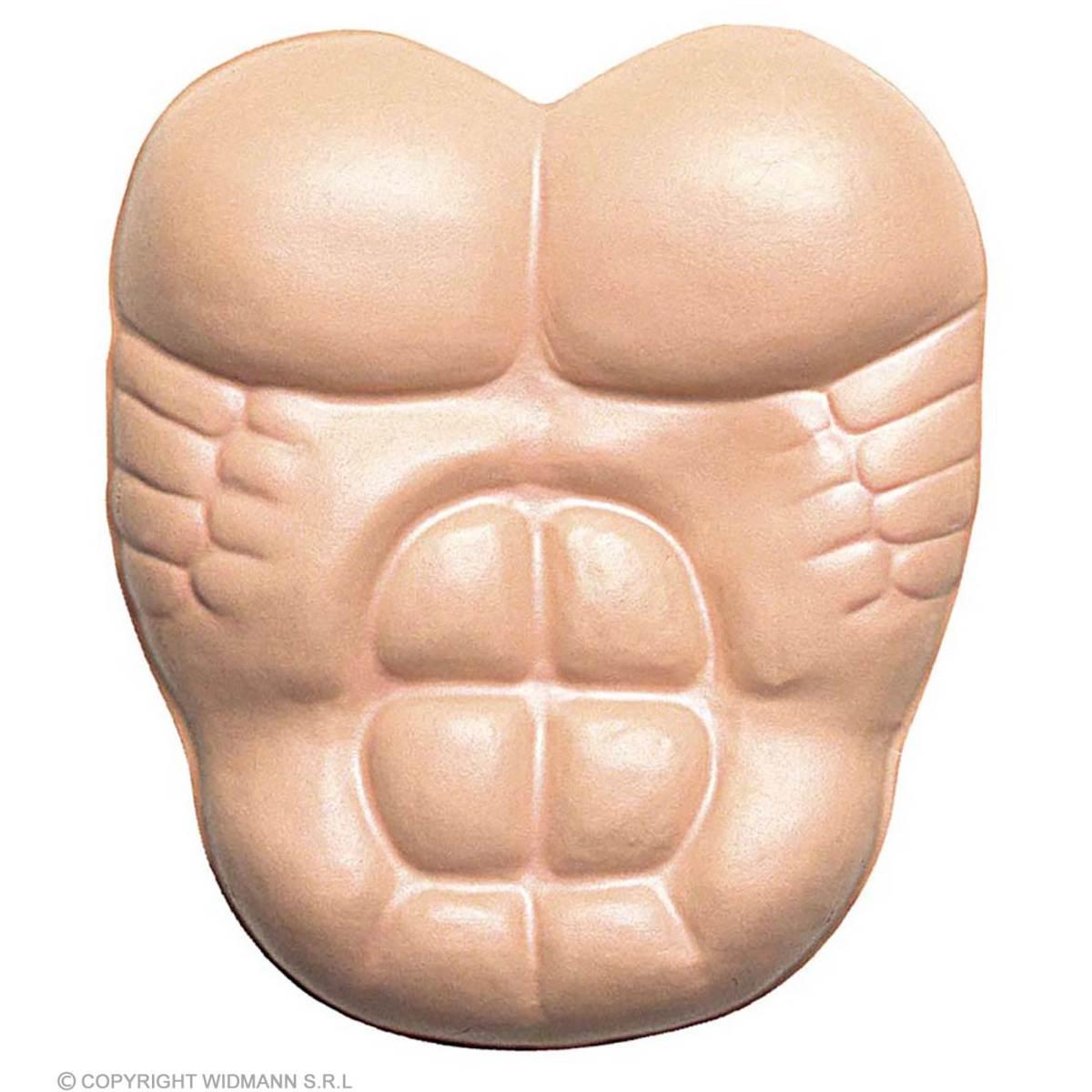 Busto muscoli