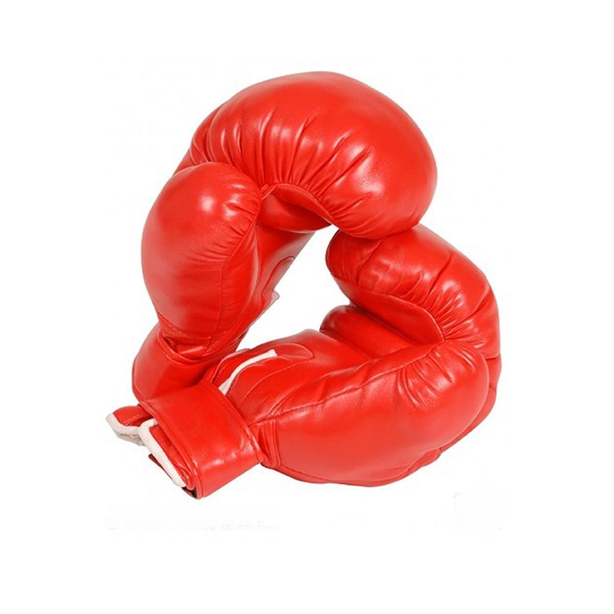 Guantoni boxe professionali