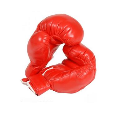 Guantoni boxe professionali