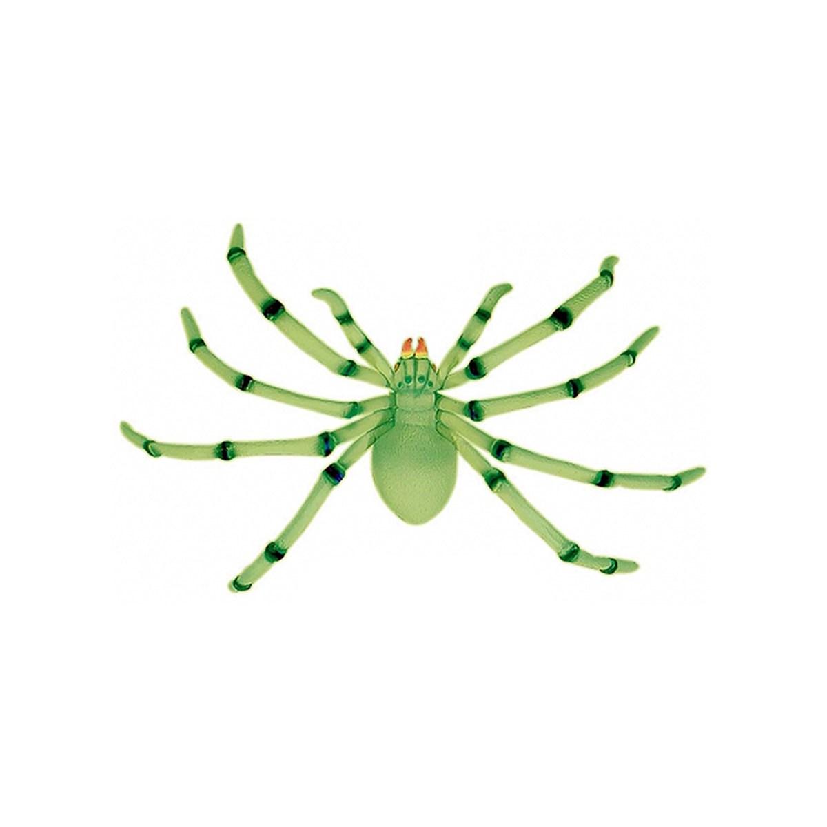 Ragno gigante fluorescente ventosa
