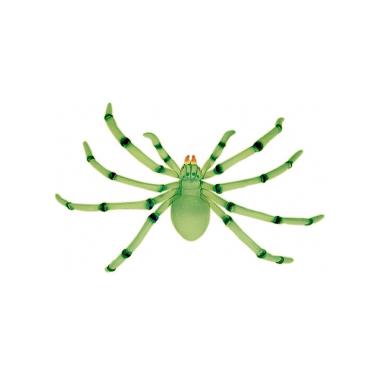 Ragno gigante fluorescente ventosa