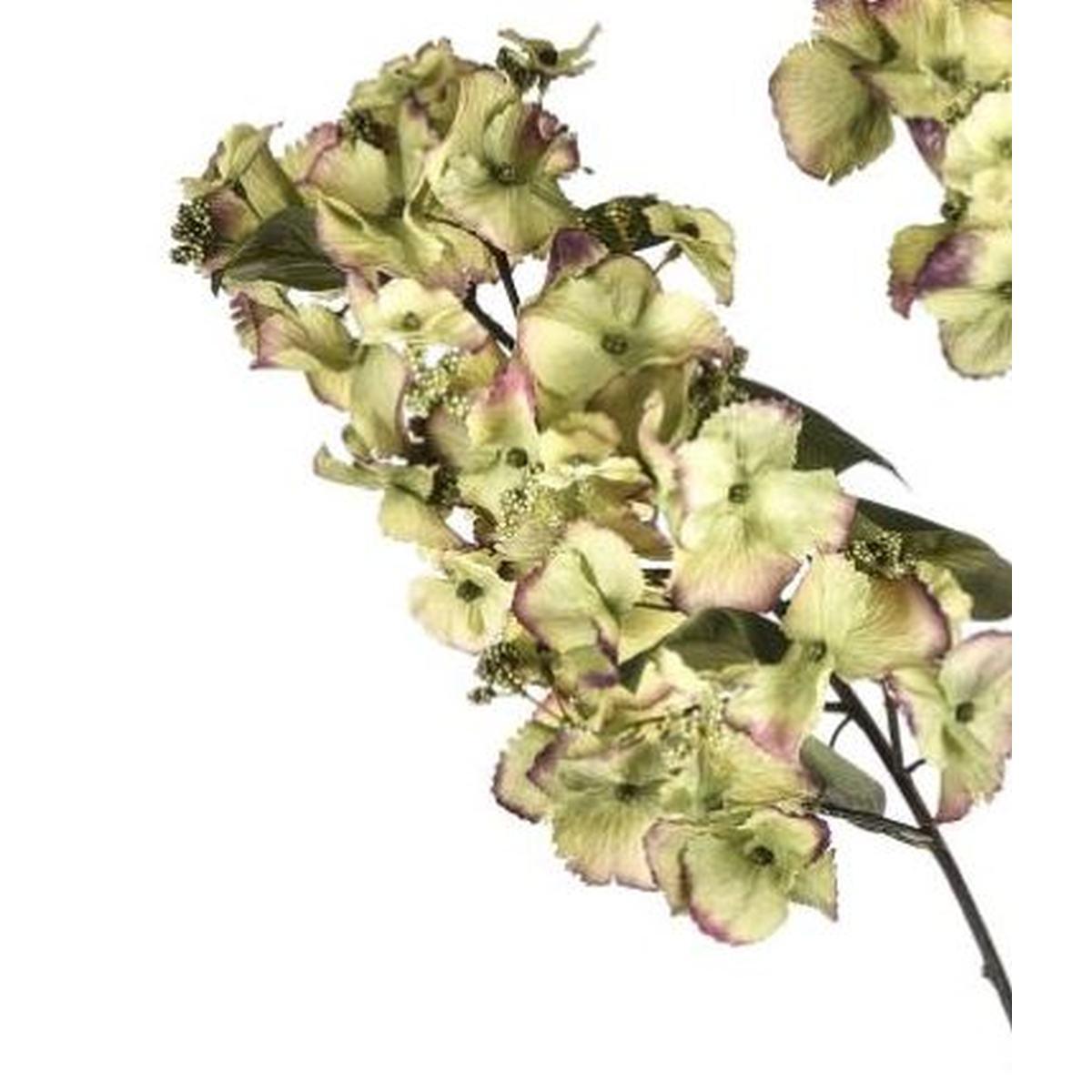 Fiore ortensia verdex2 117 cm