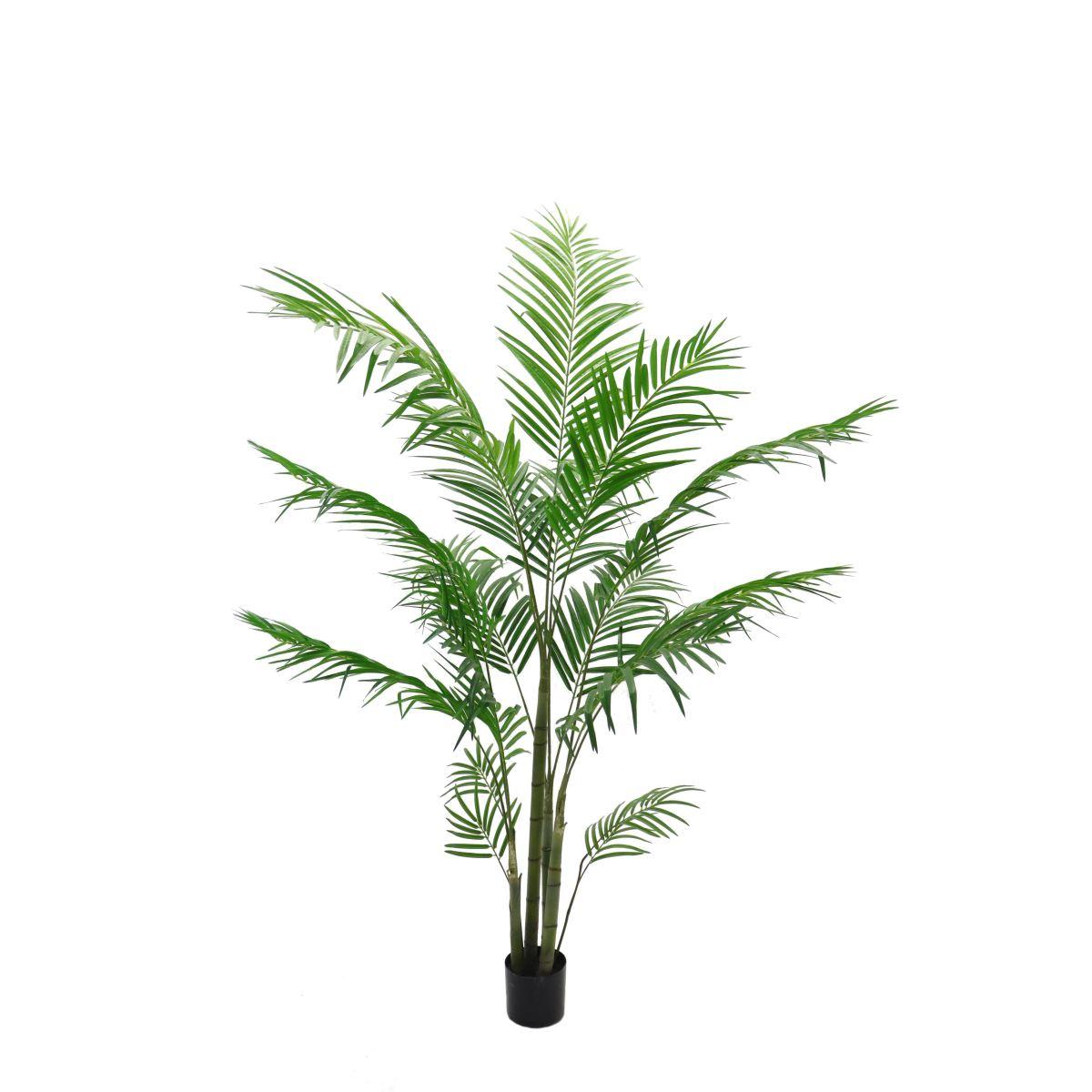 Pianta palma areca pvc verde vaso 185 cm