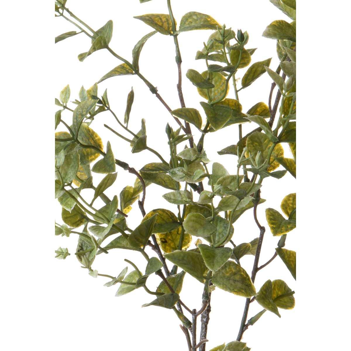 Fiore rametto foglie ruscus orientale verde 68 cm