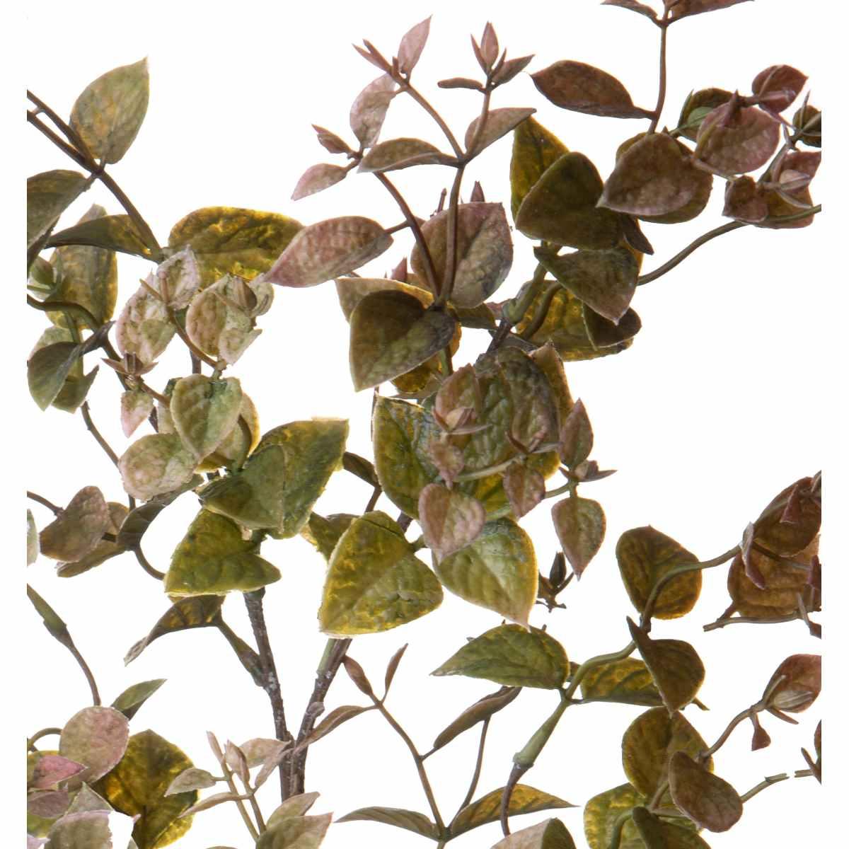 Fiore rametto foglie ruscus orientale verde 68 cm