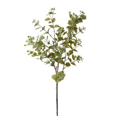 Fiore rametto foglie ruscus orientale verde 68 cm
