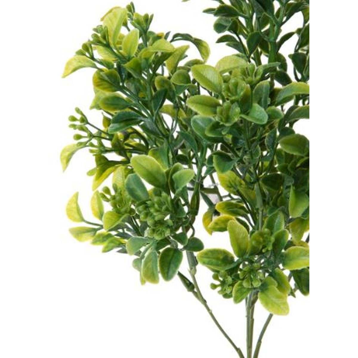 Fiore cespuglio bosso verde 33 cm