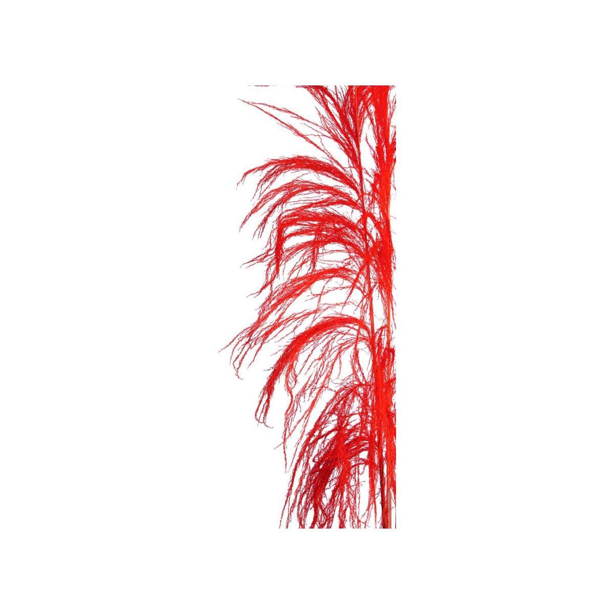 Fiore rametto cana brava naturale rossa 200 cm