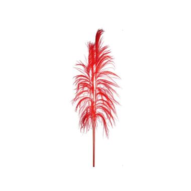 Fiore rametto cana brava naturale rossa 200 cm