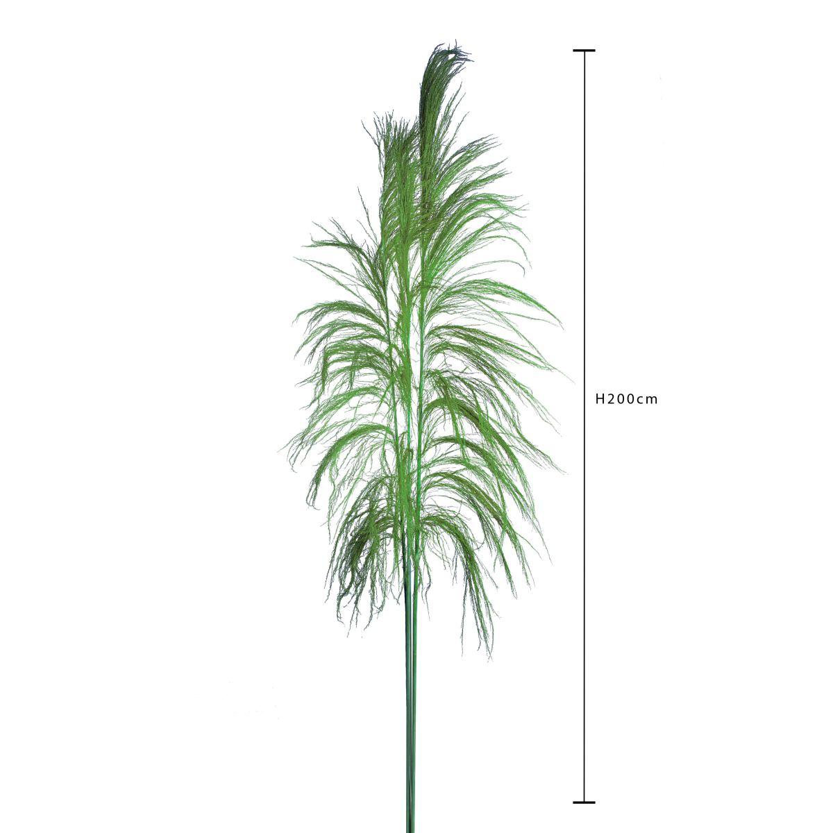 Fiore rametto cana brava naturale verde 200 cm