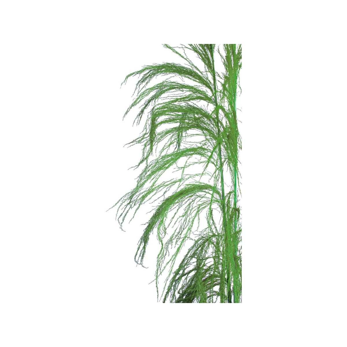Fiore rametto cana brava naturale verde 200 cm