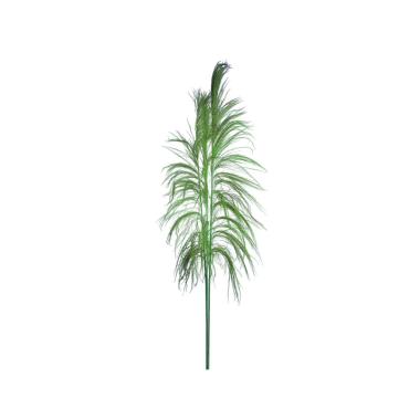 Fiore rametto cana brava naturale verde 200 cm