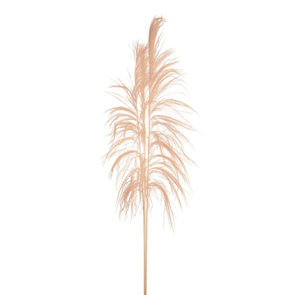 Fiore rametto cana brava naturale sbiancata 200 cm